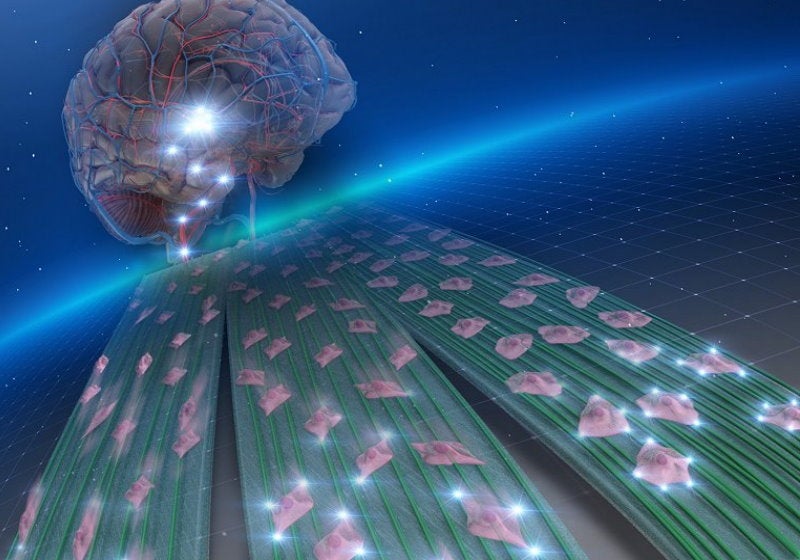 Cientistas criam plataforma de nanofibras que impede câncer de se espalhar