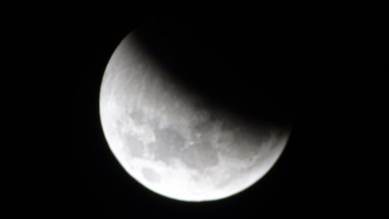 Eclipse parcial da Lua em 19 de novembro será visível em todo o Brasil, principalmente em Guarantã do Norte