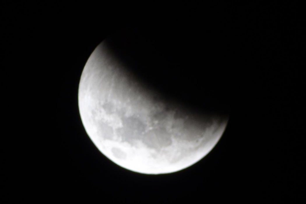 Eclipse parcial da Lua em 19 de novembro será visível em todo o Brasil, principalmente em Guarantã do Norte