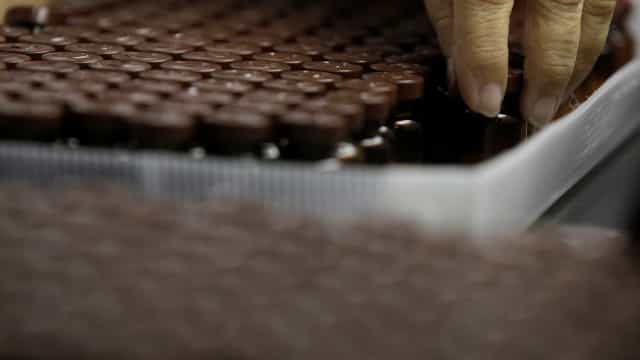 Fiocruz recebe três lotes de IFA para vacina da covid-19