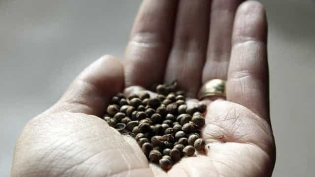 Maratonista se perde e sobrevive com água filtrada por máscara e sementes