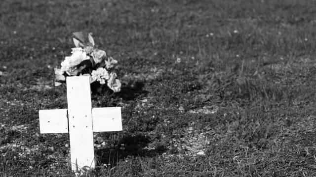 Menino de 2 anos morre após contrair raiva transmitida por raposa no MA