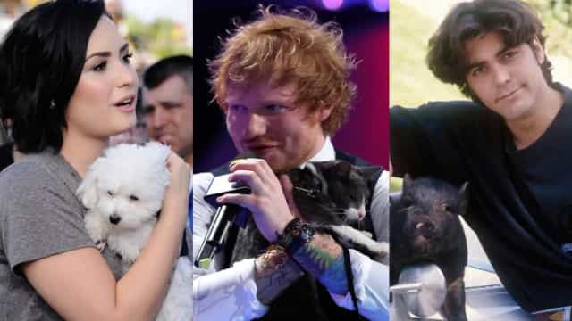 As mortes mais trágicas dos pets de celebridades