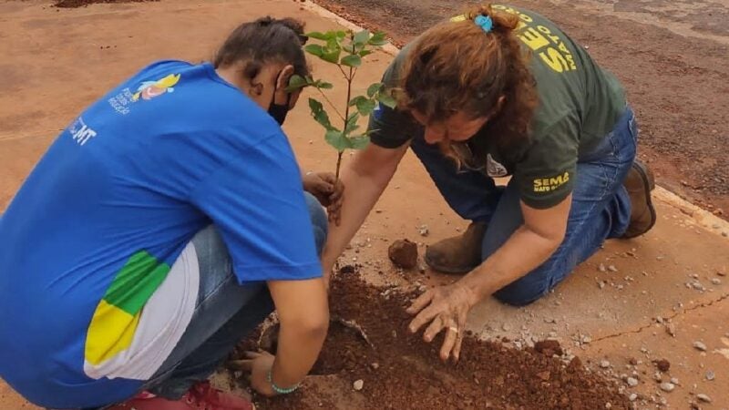 Projeto promove revitalização e urbanização do córrego Águas Claras