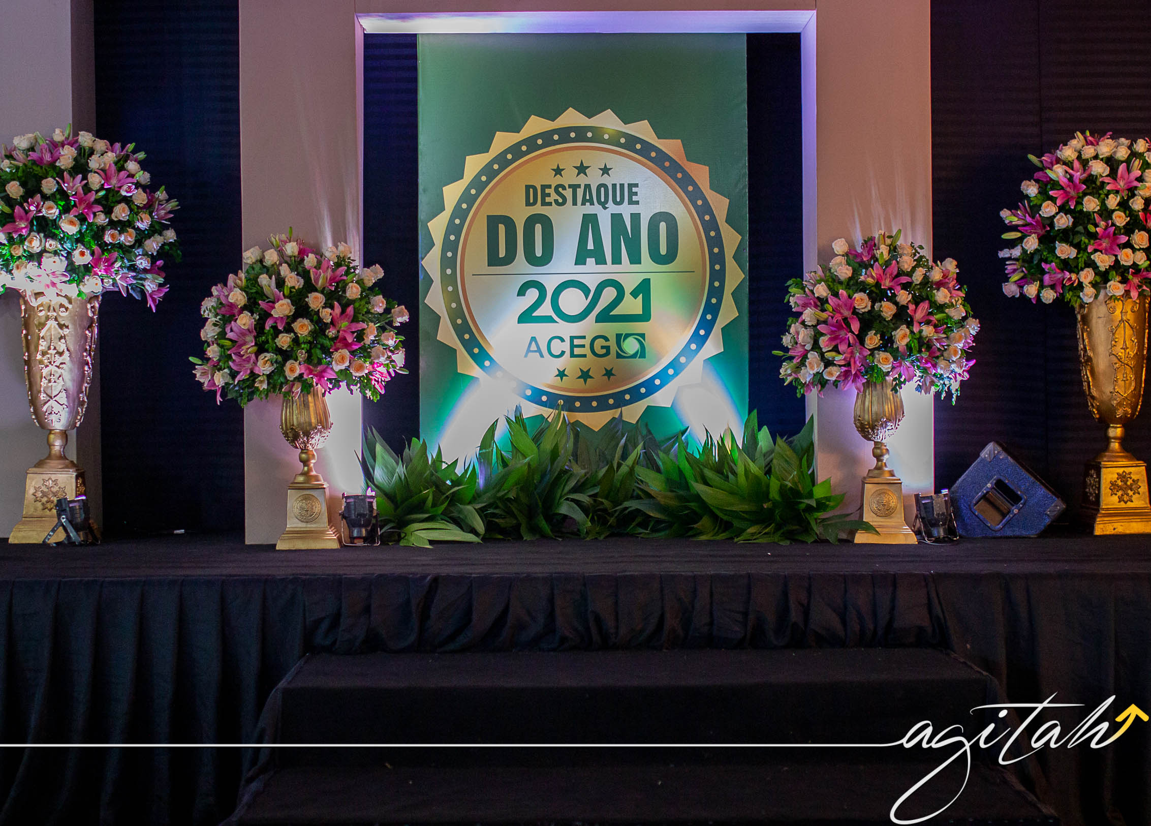 DESTAQUES DO ANO DA ACEG 2021