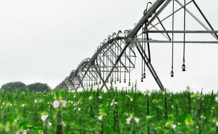 SEFAZ prorroga aplicação da lista de preços mínimos para mercadorias de origem agrícola