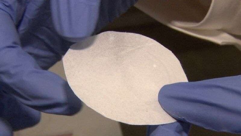 Cientistas brasileiros criam filtro biodegradável que elimina germes