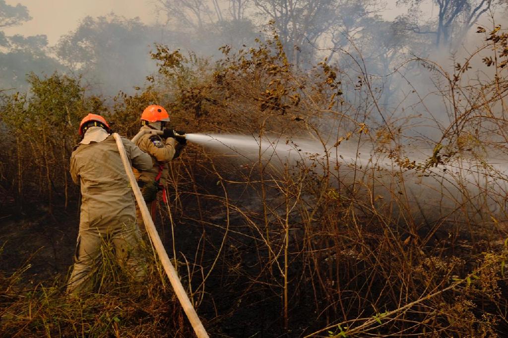 Mato Grosso reduz focos de calor nos três biomas mato-grossenses; no Pantanal a redução foi mais de 80%