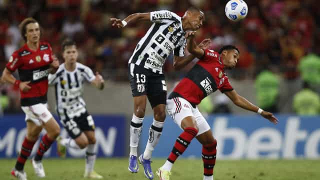 Carille revela que se inspirou no Palmeiras da Libertadores para bater o Flamengo