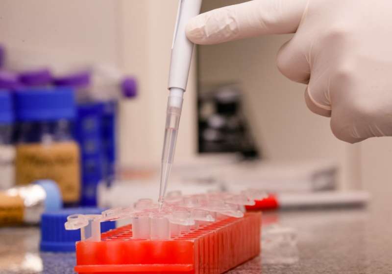 Pesquisadores da USP conseguem isolar variante ômicron