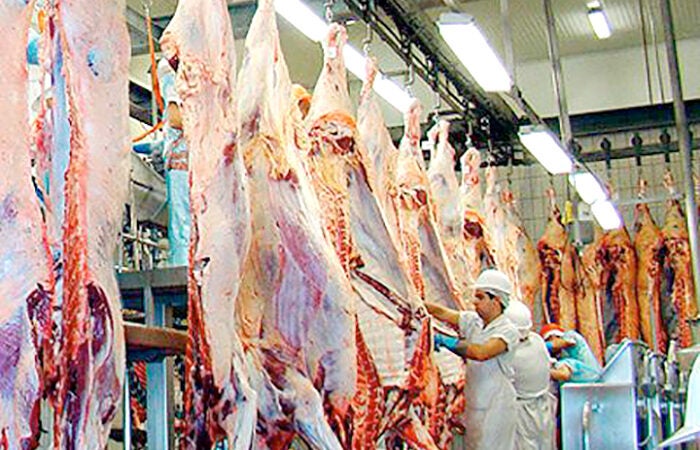Exportações de carne mato-grossense diminuem mas receita aumenta e chega a R$ 1,7 bilhão