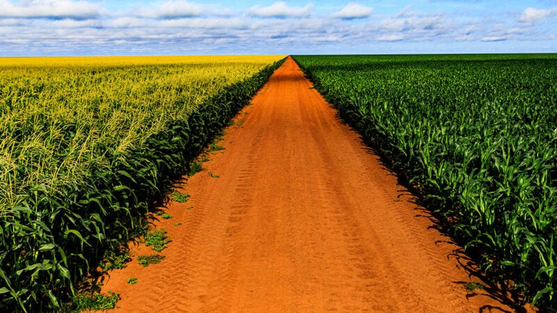 Secretaria prorroga autorização provisória de funcionamento de atividade rural em Mato Grosso