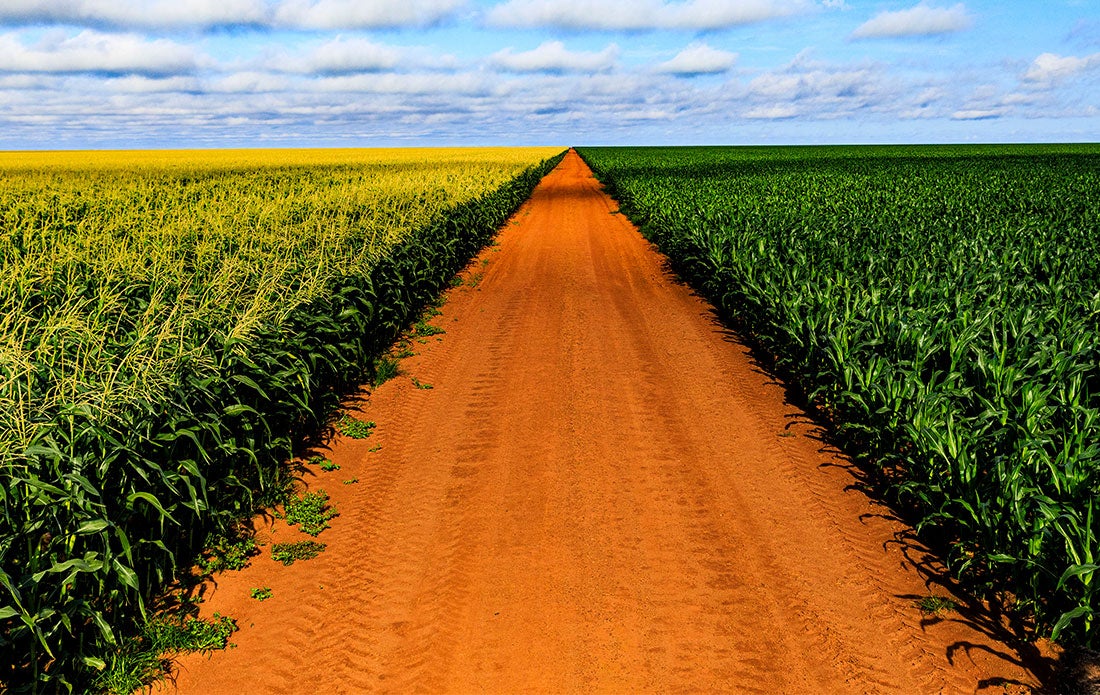 Secretaria prorroga autorização provisória de funcionamento de atividade rural em Mato Grosso