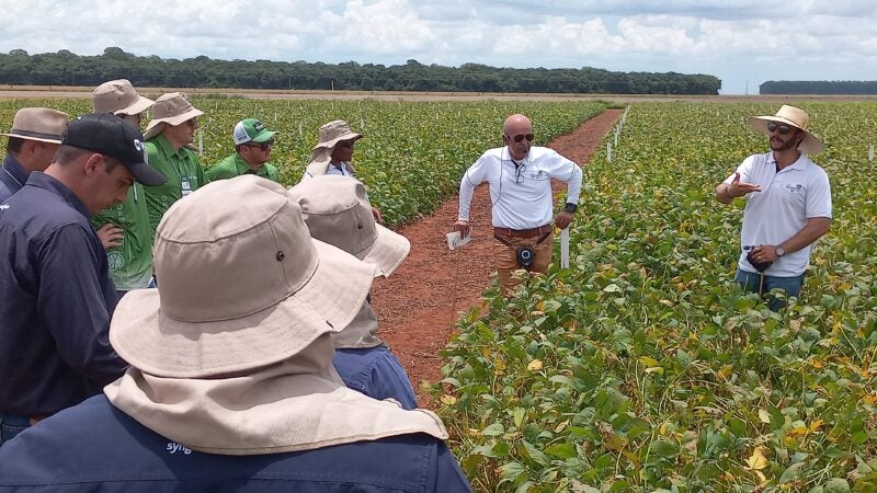 Ocorrência de pragas, doenças e plantas daninhas na safra de soja 2021/22 em Mato Grosso
