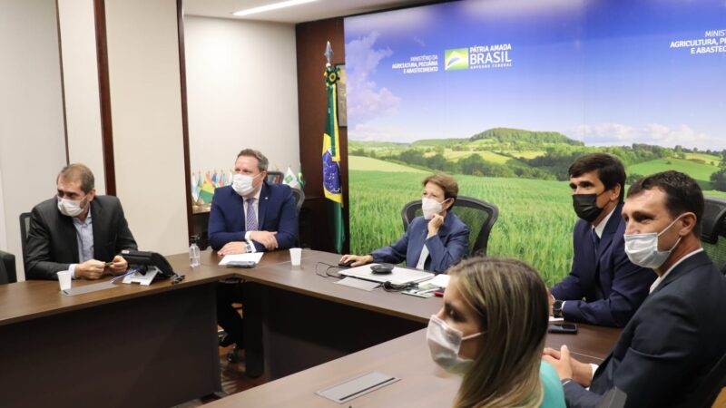 Produtor de Sorriso e presidente da Acrismat se reúne com ministra da Agricultura para discutir crise na suinocultura