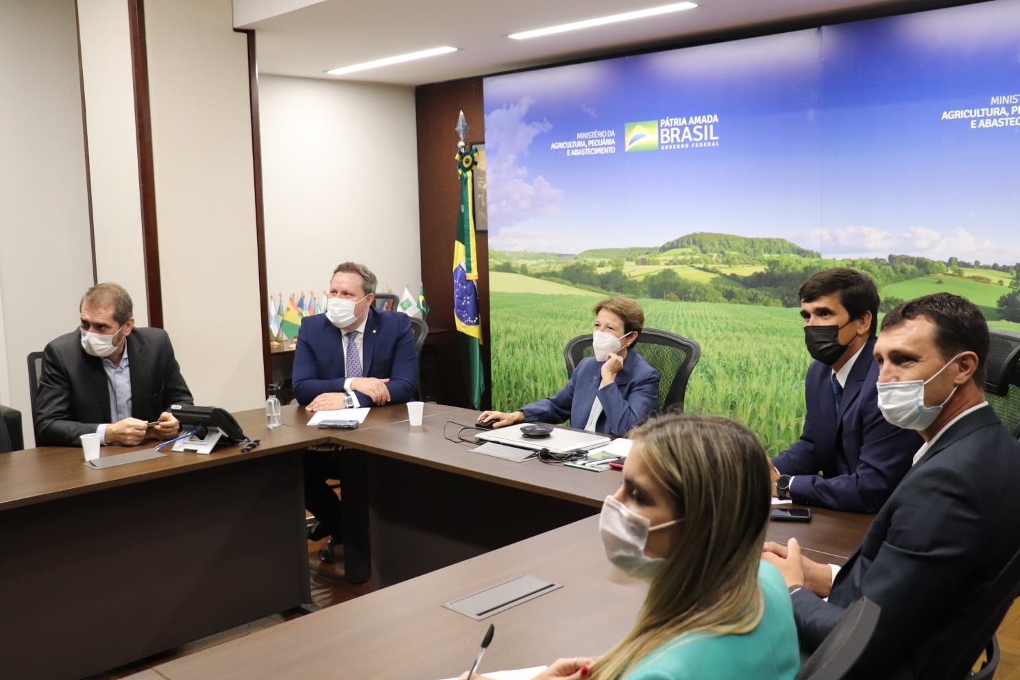 Produtor de Sorriso e presidente da Acrismat se reúne com ministra da Agricultura para discutir crise na suinocultura