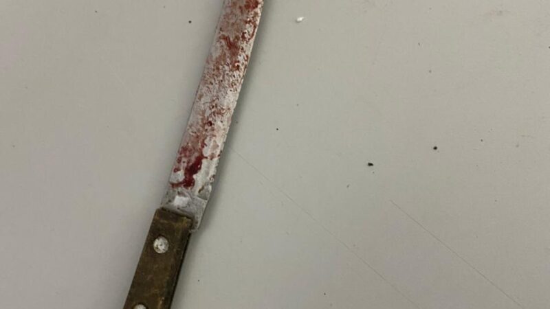 Mulher gravida mata marido em Guarantã do Norte