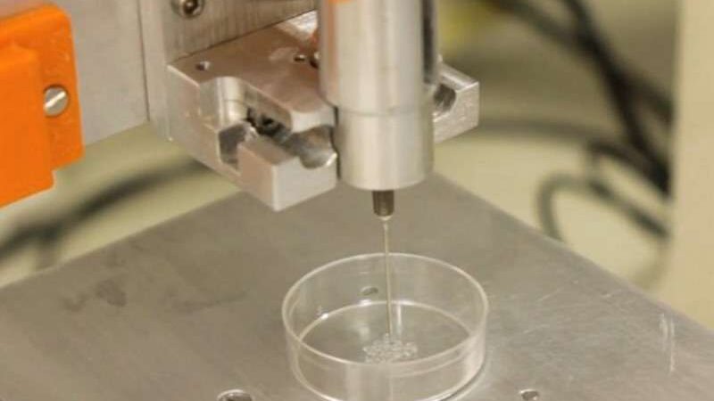 Cientistas brasileiras criam células cerebrais vivas em 3D