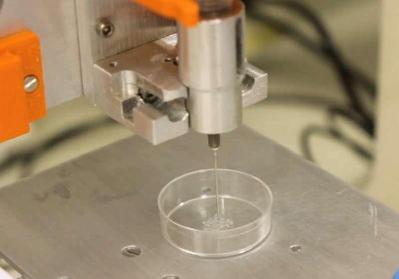 Cientistas brasileiras criam células cerebrais vivas em 3D