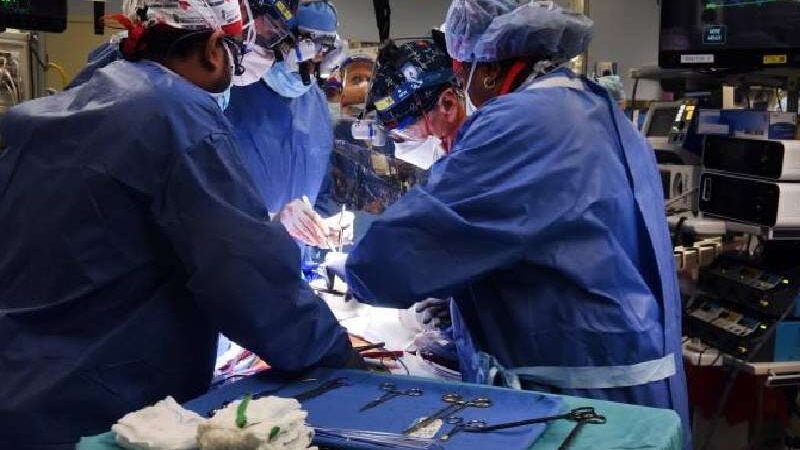Médicos fazem 1º transplante com coração de porco para humano