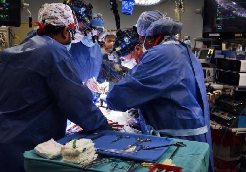 Médicos fazem 1º transplante com coração de porco para humano