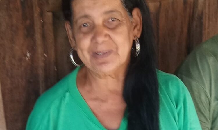 Mistério! Após embarcar em van em Guarantã, idosa de Sinop desaparece