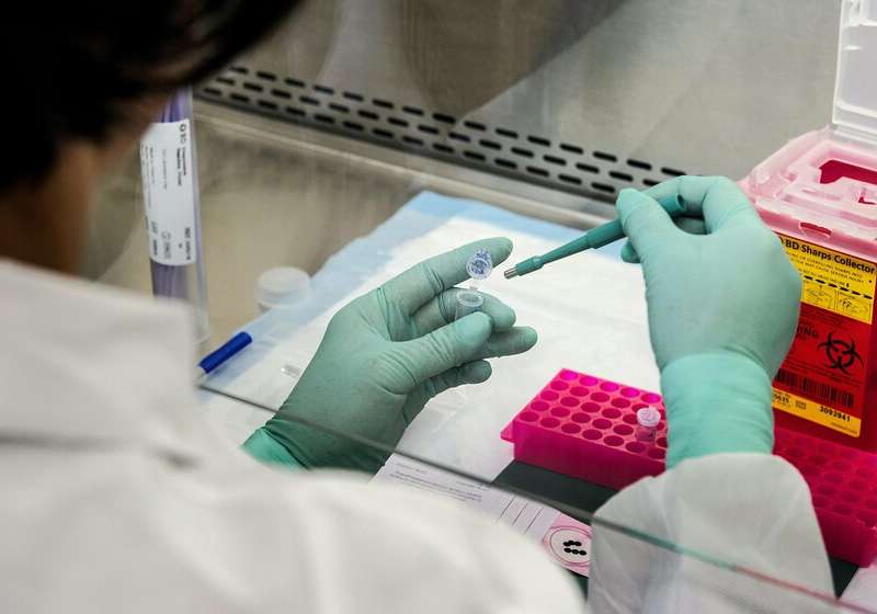 Vírus causador da esclerose múltipla é descoberto em Harvard