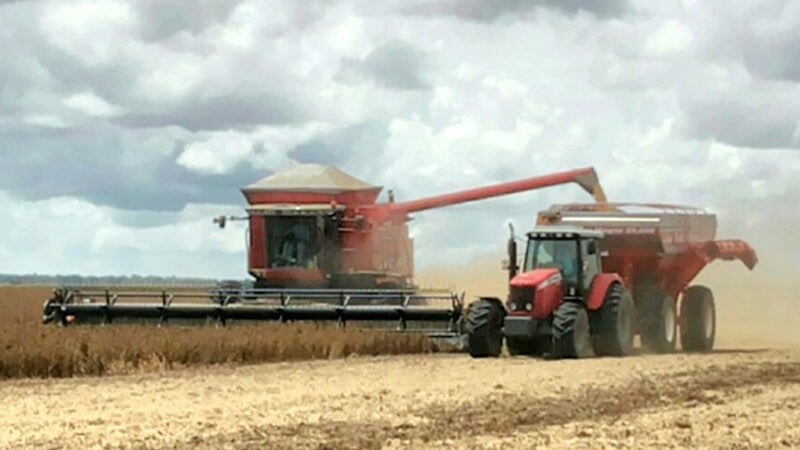 Sorriso é o mais rico do agronegócio no Brasil; Nova Ubiratã em 6º, Nova Mutum 10º e Sinop 50º