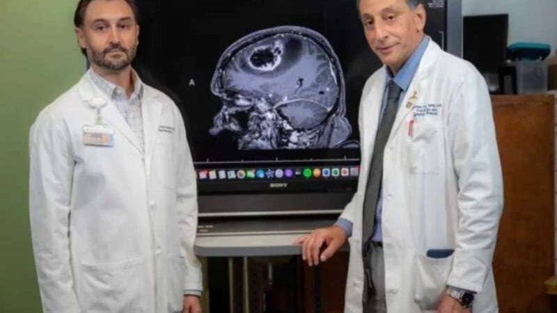 Imunologistas reduzem tumor cerebral agressivo com canabidiol