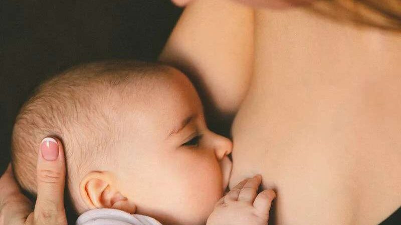 Células vivas do leite materno podem ajudar contra câncer de mama