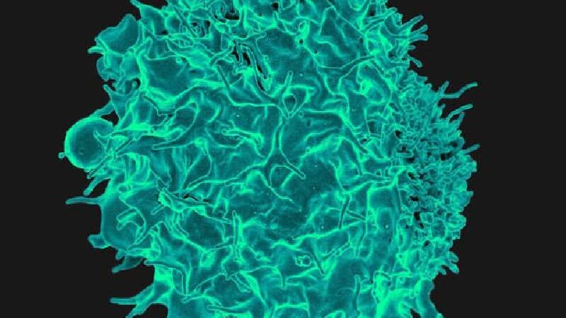 Magnésio ajuda a combater o câncer, descobrem cientistas