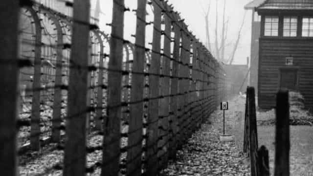 Distorção do Holocausto e aumento do antissemitismo preocupam Europa