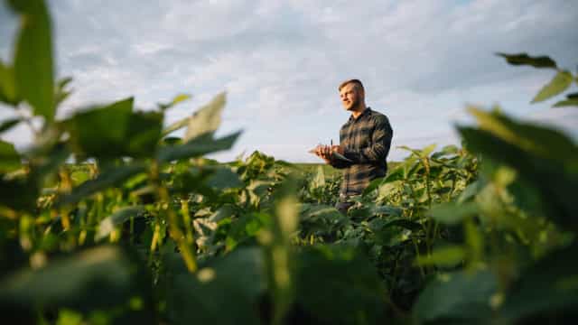 Agro tem recuperação mais veloz do emprego e atrai jovens qualificados