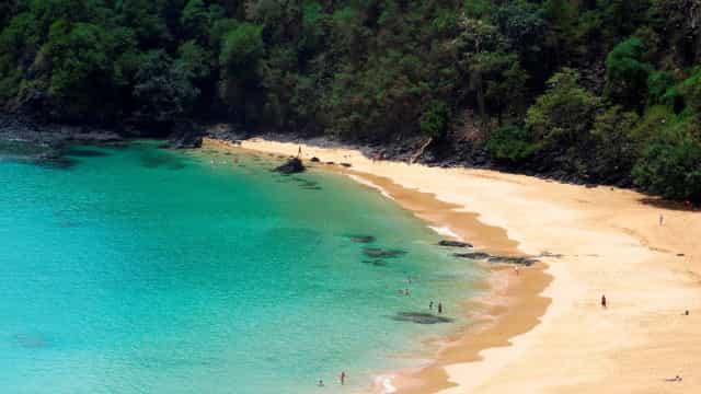 Praia em Fernando de Noronha segue fechada após ataque de tubarão