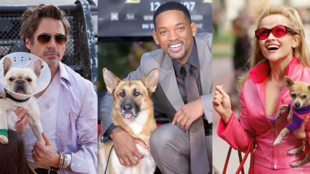 Atores que se apaixonaram pelos animais com que contracenaram