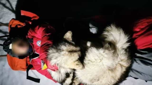 Cachorro aquece e salva montanhista após acidente na Croácia