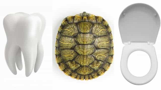 Presentes de fãs: a lista das coisas mais esquisitas que os famosos já receberam