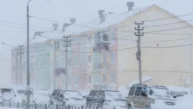 Menina sobrevive a tempestade de neve ao abraçar um cão