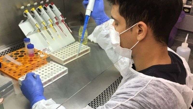 Brasileiros descobrem molécula que pode combater o câncer