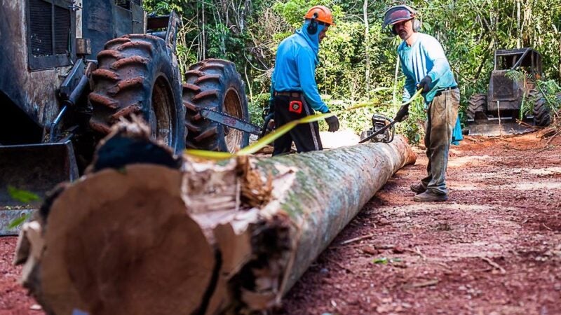 Período proibitivo para exploração do manejo sustentável vai até 1º de abril
