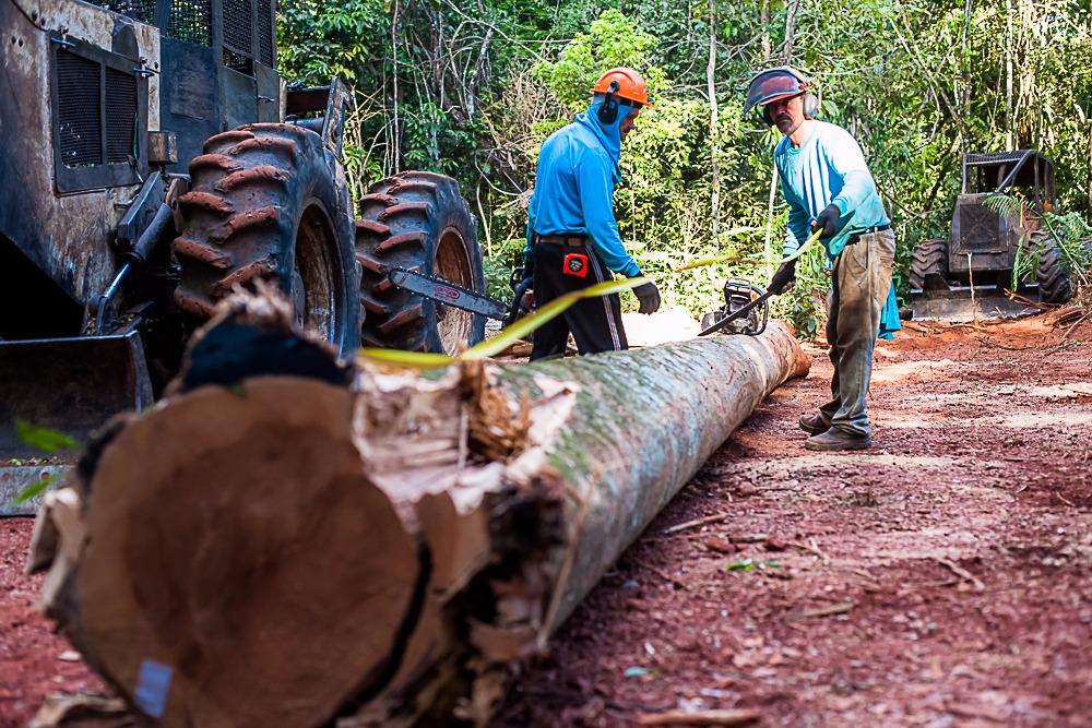 Período proibitivo para exploração do manejo sustentável vai até 1º de abril