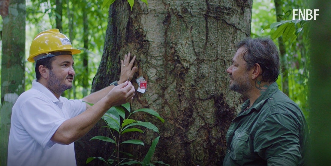 Biólogo Richard Rasmussen explica como o manejo florestal sustentável contribui para preservação ambiental