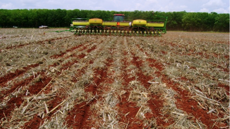 Mato Grosso finaliza calendário para plantio de soja da safra 2021/22