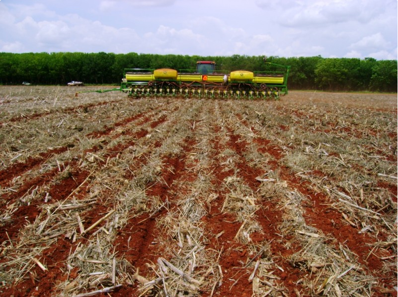 Mato Grosso finaliza calendário para plantio de soja da safra 2021/22