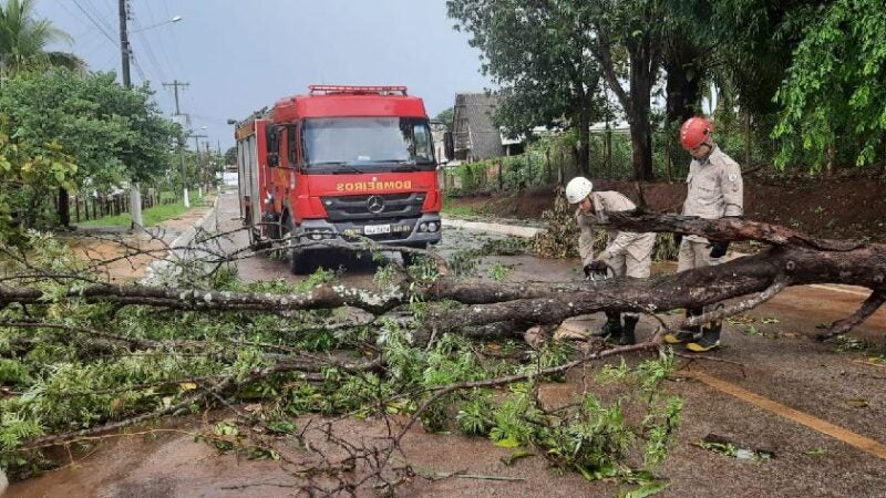 Corpo de Bombeiros registra mais de 100 ocorrências de queda de árvores em Mato Grosso