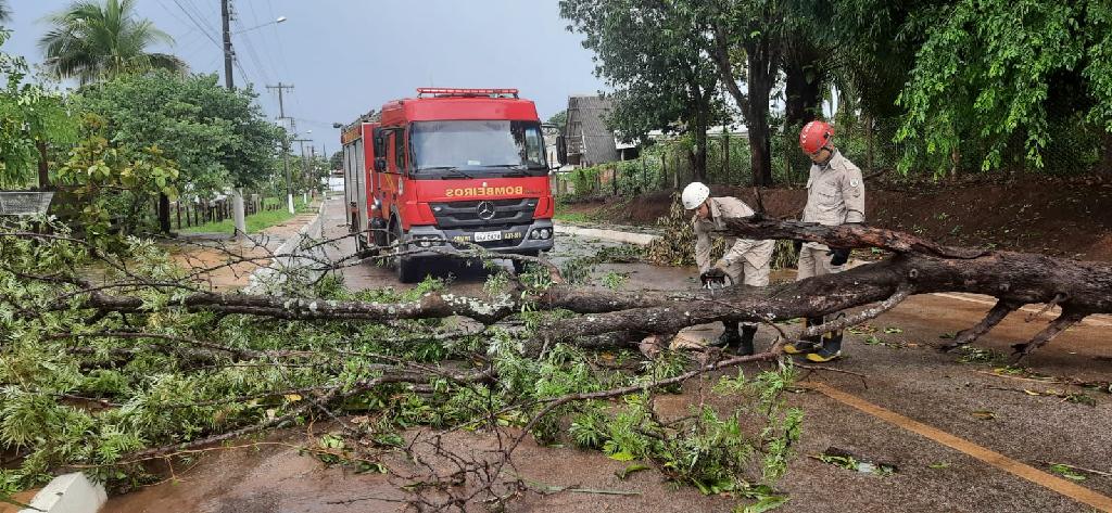 Corpo de Bombeiros registra mais de 100 ocorrências de queda de árvores em Mato Grosso