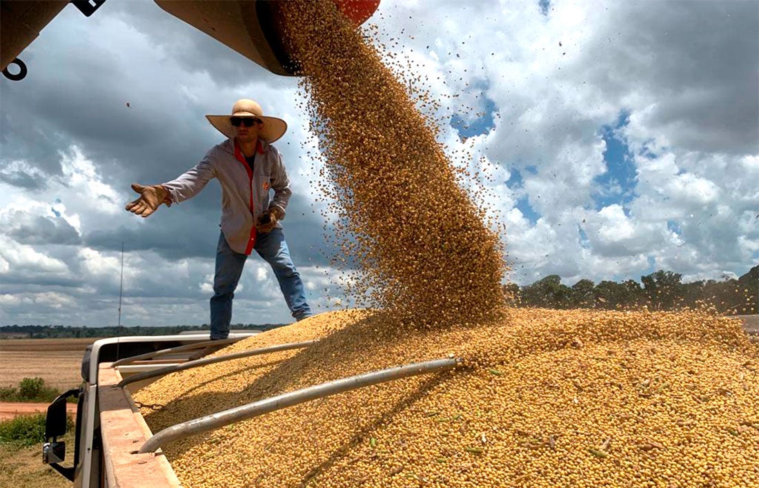Colheita de soja em Mato Grosso tem ritmo acelerado e produção recorde é esperada