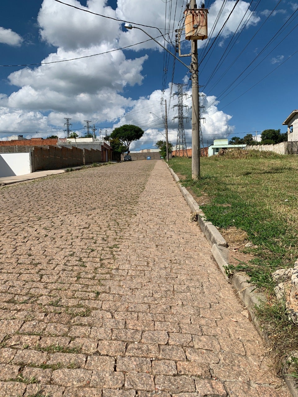 Tecnologia brasileira substitui agroquímicos na eliminação do mato nos centros urbanos