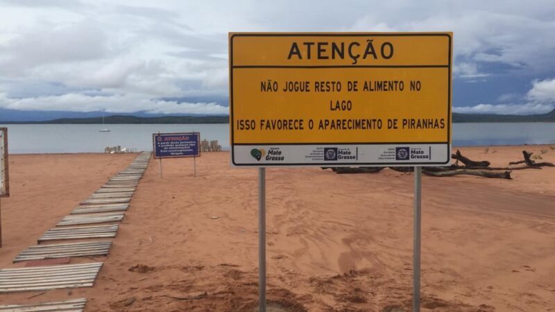 Governo orienta população sobre como evitar ataque de piranhas no Lago do Manso