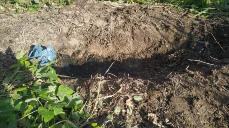 Suspeita de envolvimento na morte de jovem em Guarantã é presa